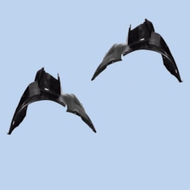 Par Parabarro PALIO WEEK STRADA 05 a 07 Dianteiro